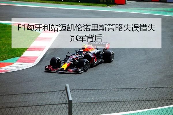 F1匈牙利站迈凯伦诺里斯策略失误错失冠军背后