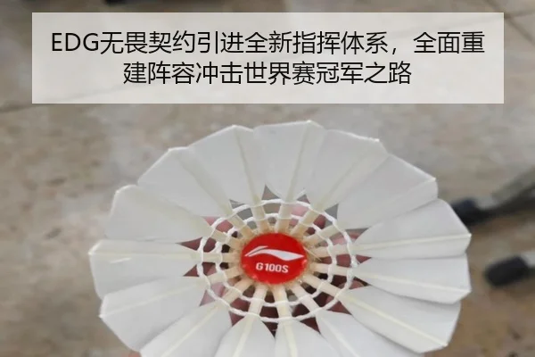 EDG无畏契约引进全新指挥体系，全面重建阵容冲击世界赛冠军之路
