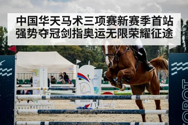 horse jumping arena